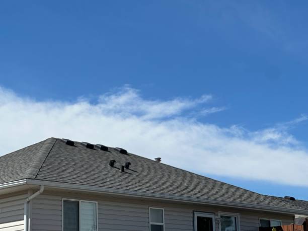 Best Storm Damage Roof Repair  in Paulina, LA